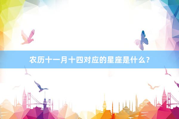 农历十一月十四对应的星座是什么？