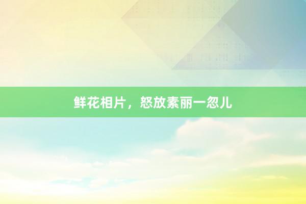 鲜花相片，怒放素丽一忽儿