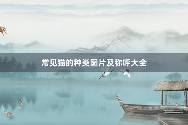 常见猫的种类图片及称呼大全
